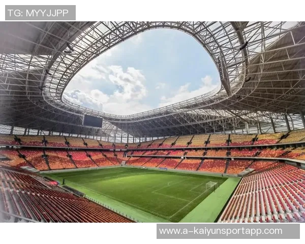 重庆铜梁龙明年主场将落户龙兴足球场正式确定